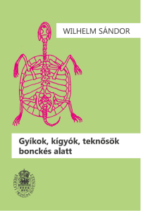Könyv import