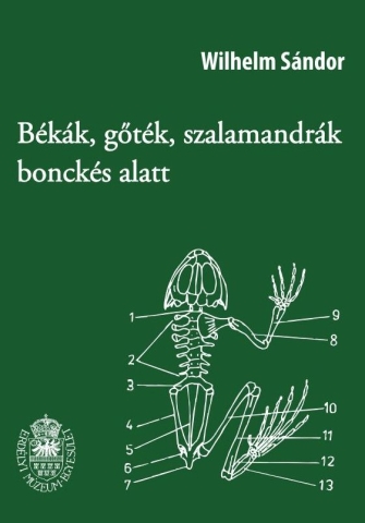 Könyv import